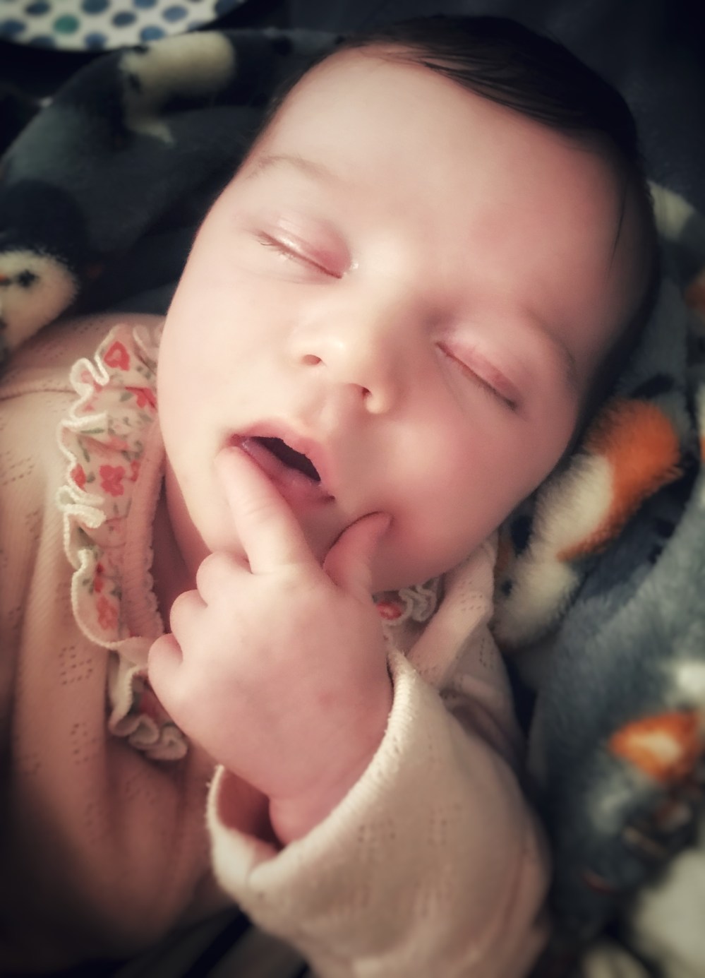 7A3152ED-011C-4E52-8981-1173B9A0325E