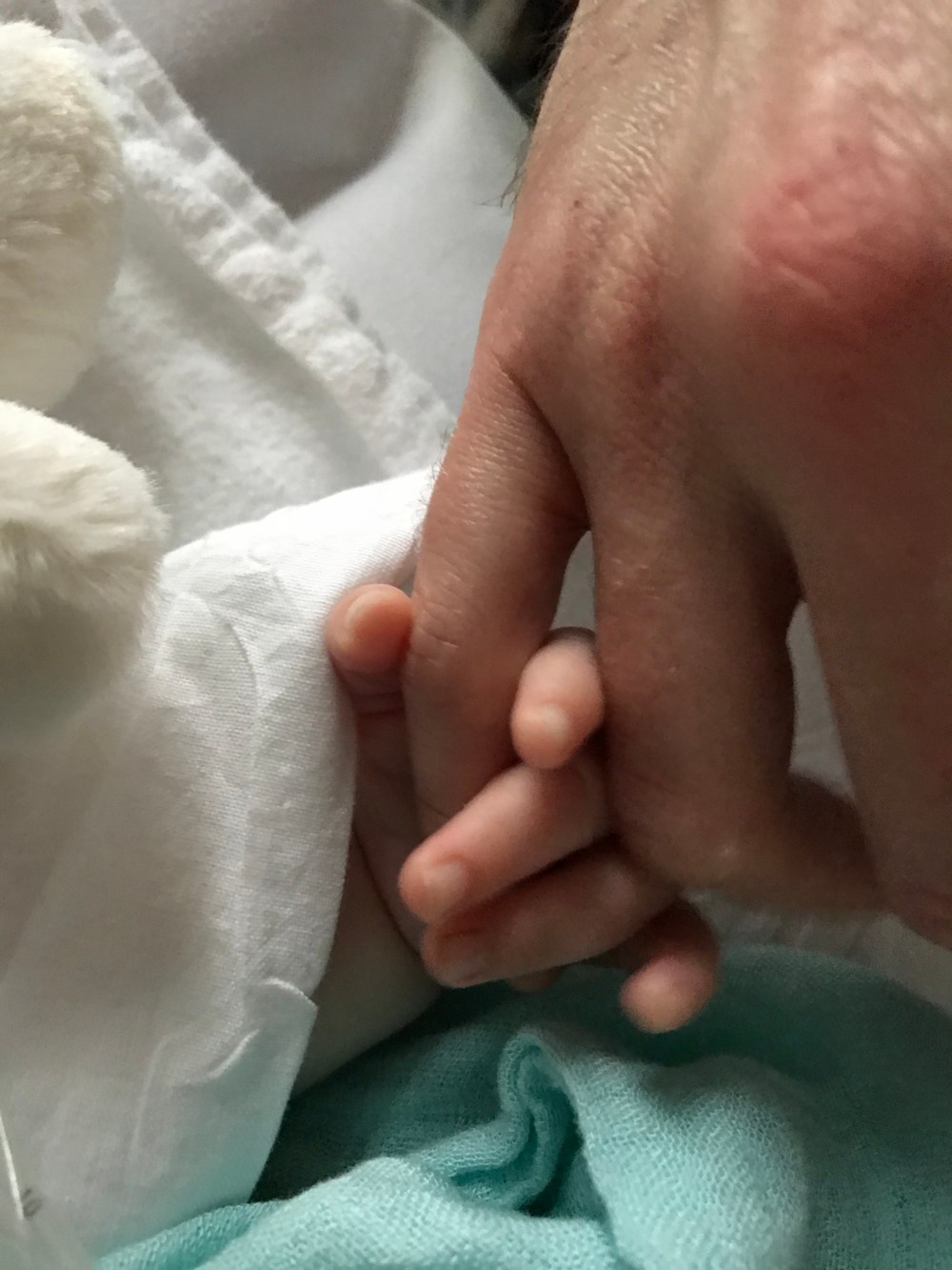 8FB62DAE-F997-4330-BC9A-17610C793AAE