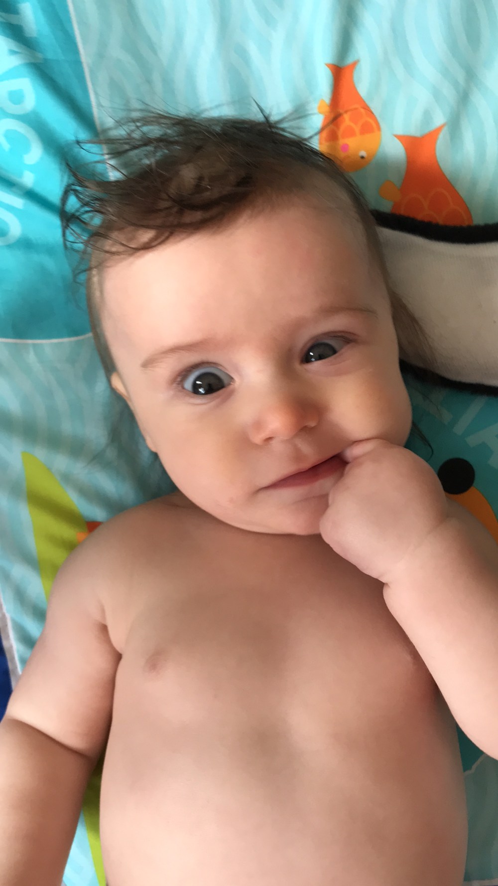 5E19BBB2-21EC-4AD4-9306-BBDA2E9A3044